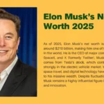 Elon Musk’s Net Worth 2025